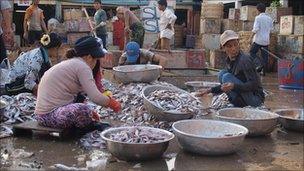 Fish market in Phnom Penh