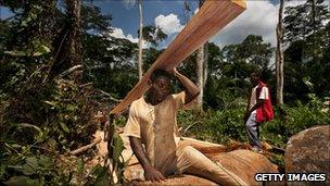 Baka Pygmy tribesmen of Cameroon's forests