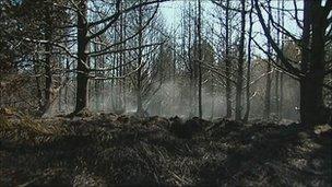 Moorland fire