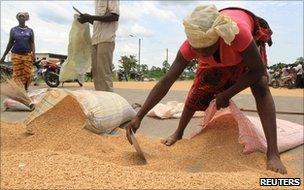 Rice processing