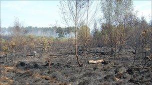 Swinley Forest fire