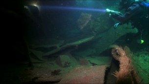 Paul Rose investigates the Torrey Canyon wreck