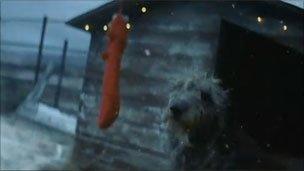 Dog in kennel - John Lewis advert