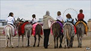 Beach donkeys in Blackpool