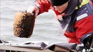 Urns containing human ashes discovered in Lake Zurich