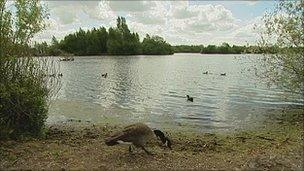 Attenborough Nature Reserve