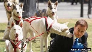 Protest with dogs