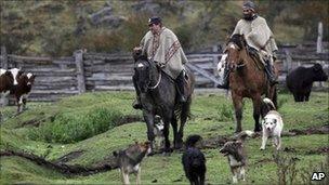 Nelson Gallardo, left, and Rozendo Sanchez, ride on their horses as the herd cattle to the market, in Los Nadis, Aysen region, May 2011