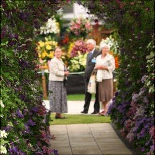 Raymond Evison's Guernsey Clematis garden at the RHS Chelsea Flower Show 2011