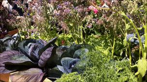 Display at Chelsea Flower Show