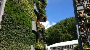 B&Q garden at Chelsea Flower Show