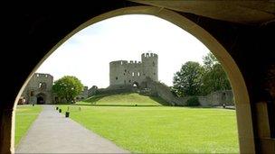 Dudley Castle- Pic: Dudley Metropolitan Borough Council