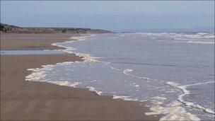 Beaches across Wales have been affected by the algae