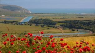 Cuckmere meanders