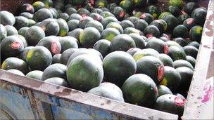 Melons in a skip