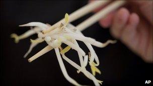 Bean sprouts