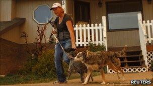 Woman preparing to evacuate with dogs