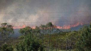 The fire at Upton Heath