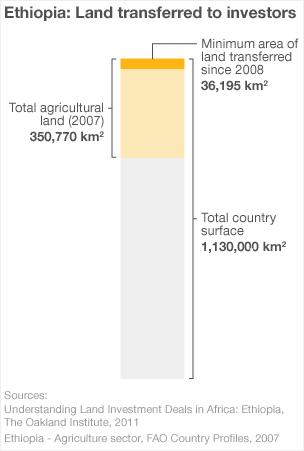 Ethiopian land transferred to investors