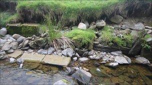 Remains of Coquetdale mill