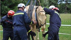 Animal rescue training by Devon and Somerset Fire and Rescue Service