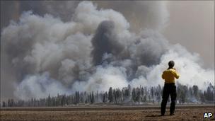 A man watches a controlled burn in the Apache-Sitgreaves National Forest in Arizona