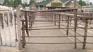 Abergavenny cattle market