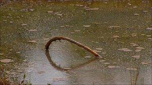 Dirty water in the Brofiscin Quarry - from 2007 footage