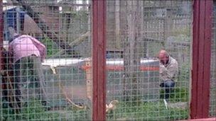 Members of the Cat Survival Trust prepare a transport box for the leopard