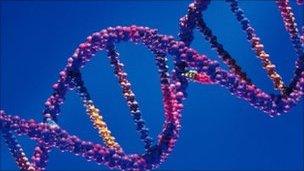 Model DNA double helix