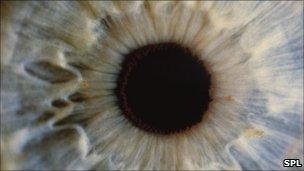 eye