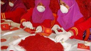 Saffron production in Herat