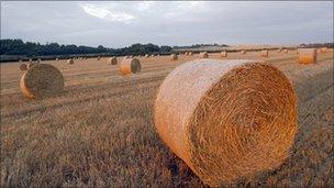 Farmland in East Sussex