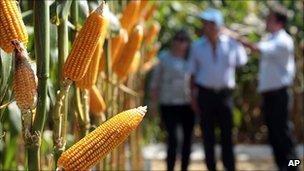 Agricultural exhibition on the outskirts of Brasilia