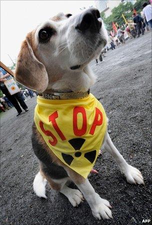 Dog in anti-nuclear banner