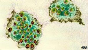 Norovirus