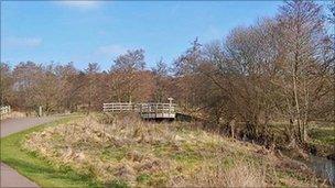 Bridge near Crane Lake in Moors Valley Country Park