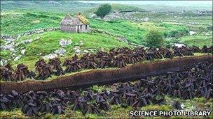 Peat bog in Ireland