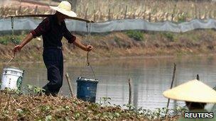 Farmers in Wanghu village, Hubei province