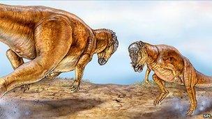 Head butting pachycephalosaurs (SPL)