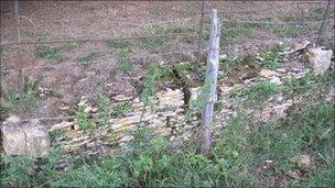 An example of the damaged railings and ha-ha at Westonbirt Arboretum