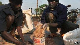 Men scoop up grain at a food distribution point for internally displaced southern Sudanese by the World Food Programme in January 2011 in the town of Yambio