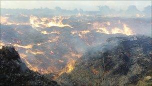 The wood chipping fire in Orsett