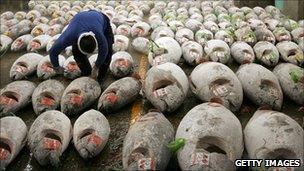 Rows of dead tuna (Credit: Getty Images)