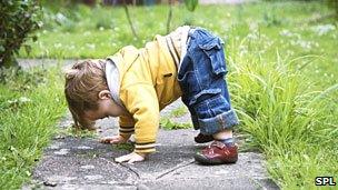 A toddler playing in the garden