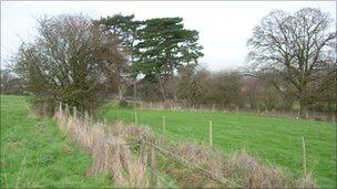 Habitat created at Nut Hill for the barn owl mitigation site