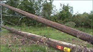 Electricity poles cut down