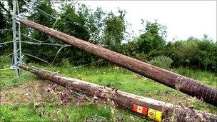 Electricity poles cut down