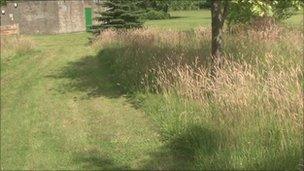 Mown grass and meadow grass in Burnley