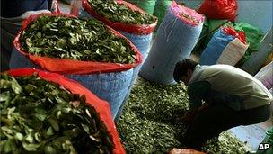 A man fills bags with coca leaves at the coca market in La Paz, Colombia